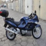 Avatar użytkownika