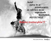 Avatar użytkownika